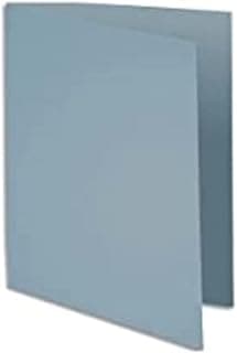Exacompta 210009E - Lote de 100 Subcarpetas Rock"S 210 g, Color Gris