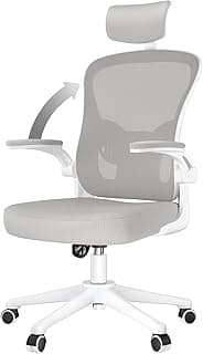 naspaluro Silla de Oficina Ergonómica, Silla de Escritorio con Soporte Lumbar, Reposacabezas Ajustable, Reposabrazos Abatibles, Silla Giratoria con Respaldo Transpirable, Gris