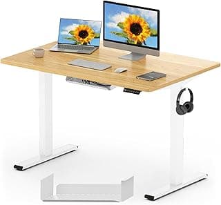 FLEXISPOT QE1 MAX 120x60cm Escritorio Elevable Eléctrico con Tablero Entero Mesa de Elevable, Standing Desk, Mesa Elevable Escritorio con 2 Ganchos y 4 Funciones de Memoria