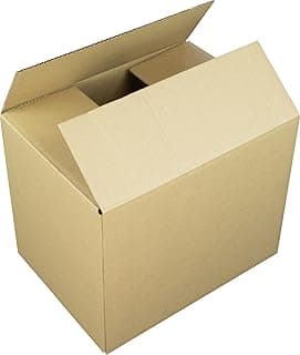 Raadhuis - Caja de cartón (10 unidades, 305 x 220 x 250 mm)