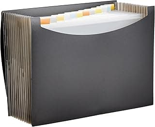 Amazon Basics Carpeta de acordeón (tamaño A4), Paquete de 1, Negra