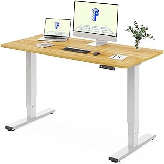 FLEXISPOT EC5 Lite Escritorio Elevable Eléctrico 120 × 80 CM con 2 Motores y 3 Etapas Mesa Elevable en Altura con 4 Funciones de Memoria Standing Desk, 25 MM de Grosor de la Mesa, 60-125CM