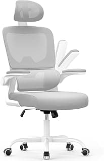 naspaluro Silla Oficina Ergonómica con Soporte Lumbar, Silla de Escritorio de Respaldo con Reposacabezas y Altura Ajustables, Reposabrazos Abatible, Silla de Ordenador para Oficina en Casa, Gris
