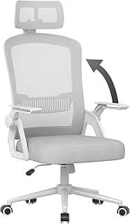 naspaluro Silla de Oficina Ergonómica, con Reposacabezas Ajustable, Reposabrazos Abatibles, Silla de Escritorio Giratoria con Soporte Lumbar, Respaldo Transpirable, Gris