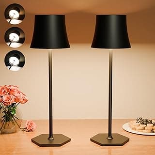 Tyonto 2 Piezas Lampara Mesita LED Inalambrica,Lamparas de Mesa con 3 Temperaturas de Color Ajuste Tactil,5000mAh,Recargable USB Lámparas,Mesilla Candeeiro.Lámpara Adecuada para Interior,Exterior