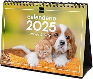 Finocam - Calendario Imágenes de Sobremesa para Escribir 2025 Mes Vista Enero 2025 - Diciembre 2025 (12 meses) Perros y gatos Español