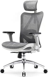 SIHOO M57 Silla ergonómica de Oficina con reposabrazos 3D, Soporte Lumbar y cabecera Ajustable, función de inclinación Sincronizada y Respaldo Alto - Gris Claro