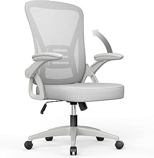 rattantree Silla de Oficina, Silla de Escritorio Ergonómica con Reposabrazos Plegables, Altura Ajustable, Soporte Lumbar, Silla Giratoria para Computadora con Cojín de Asiento Acolchado, Gris