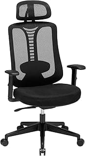Magic Life Silla de Oficina ergonómica, Silla de Escritorio Ajustable de 4 Engranajes,reposacabezas 3D y cómoda Silla de computadora con reposabrazos (Negro)