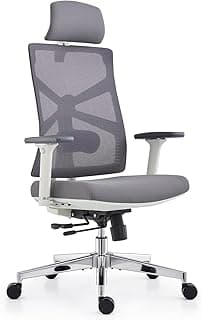 HOLLUDLE Silla de Oficina Ergonómica con Respaldo Adaptativo, Mesa y Silla de Escritorio de Alto Respaldo con Reposabrazos 4D, Profundidad de Asiento Ajustable, Soporte Lumbar y Reposacabezas 2D