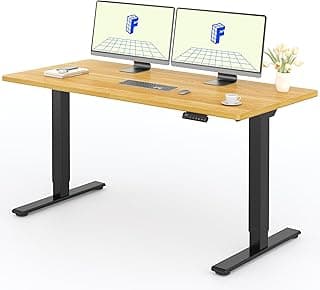 FLEXISPOT Escritorio Elevable Eléctrico 160X80cm con Tablero Entero con 2 Motor, Standing Desk, Mesa Elevable Escritorio de Elevable con 4 Opciones de Memoria Inteligente para Oficina y Hogar-Arce