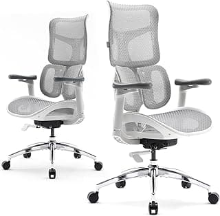SIHOO Silla ergonómica de Oficina Doro S100 - con Soporte Lumbar dinámico Dual, Respaldo Ajustable en 5 Niveles, reposabrazos coordinados en 4D Adecuada para la Oficina en casa (S100 Blanco)