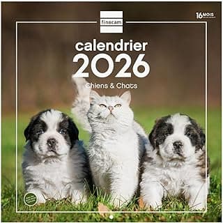 Finocam - Calendario de pared 2026 30 x 30 cm 1 mes por página enero - diciembre 2026 + septiembre - diciembre 2025 (4 meses) descuento | Calendario2026 | Imágenes de Perros y gatos francés
