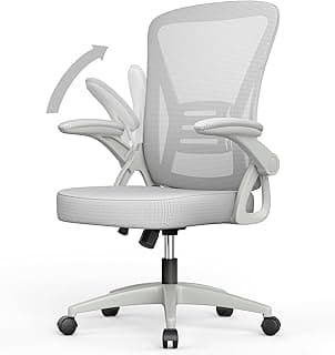 naspaluro Silla de Oficina, Silla de Escritorio Ergonómica, Altura Ajustable, Silla Giratoria con Respaldo Transpirable y Reposabrazos Plegables Adecuada para la Oficina en Casa Gris Claro