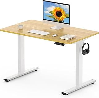 FLEXISPOT EN1 MAX 120x80cm Escritorio Elevable Eléctrico con Tablero Entero Mesa de Elevable, Standing Desk, Mesa Elevable Escritorio con 2 Ganchos y 4 Funciones de Memoria