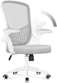 naspaluro Silla de Oficina Ergonómica con Soporte Lumbar de Diseño Exclusivo, Brazos Abatibles 90°, Tapicería de Malla Transpirable, Silla de Escritorio Giratoria 360°, Gris