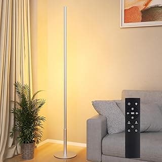 Hzitcigm Lámpara de Pie LED para Salon, Moderna Lampara de Pie con Control Remoto, Ajustables Continua Brillo y Colores 2700K-6500K Regulable Luz Ambiental de Esquina Minimalista Floor Lamp para Salón