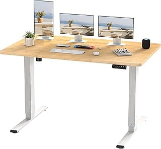 FLEXISPOT Escritorio Elevable Eléctrico 140X80cm con Tablero Entero con 2 Motor, Standing Desk, Mesa Elevable Escritorio de Elevable con 4 Opciones de Memoria Inteligente para Oficina y Hogar(Arce)