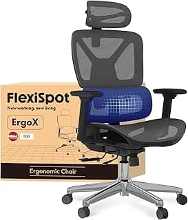 FLEXISPOT ErgoX Silla de Oficina Ergonómica con Soporte Lumbar, Respaldo 5D, Reposabrazos 3D, Cojín Transpirable, Inclinación 135°, Escritorio Ajustable, Silla de Escritorio, Gris