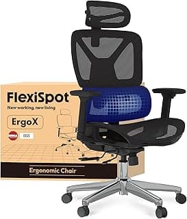 FLEXISPOT ErgoX Silla de Oficina Ergonómica con Soporte Lumbar, Respaldo 5D, Reposabrazos 3D, Cojín Transpirable, Inclinación 135°, Escritorio Ajustable, Silla de Escritorio, Negro