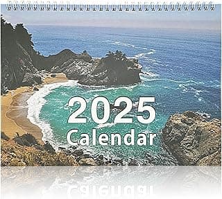 XQMMGO Calendario de pared 2025, calendario diario de pared 2025 para oficina, hogar, calendario de vista mensual, divertido calendario de escritorio, para cocina familiar y hogar (paisaje)