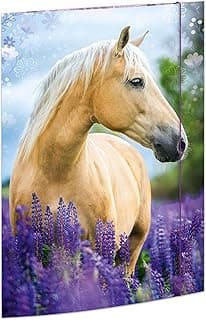 RNKVERLAG 45381 - Carpeta de planos Horse Dreams 310 x 440 mm, carpeta de documentos para DIN A3, con cierre elástico, 1 unidad