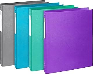 Exacompta - Ref. 51650E Teksto - Caja de 10 archivadores (4 anillas redondas, 30 mm, parte trasera de 40 mm, dimensiones externas, 32 x 26 cm, tamaño A4, surtido