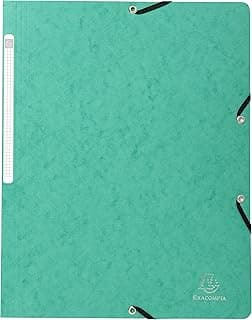 Exacompta 55413E - Pack de 10 carpetas con goma, color verde