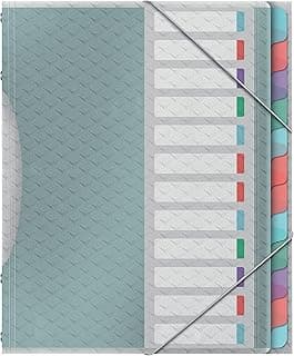 Esselte Carpeta Divisora con 12 Pestañas, A4, Organizador de Documentos Libre de Ácidos, Fundas de Plástico Transparente, Casa/Oficina, Patrón en Relieve, Gama Colour'Breeze, Multi Colour,626256